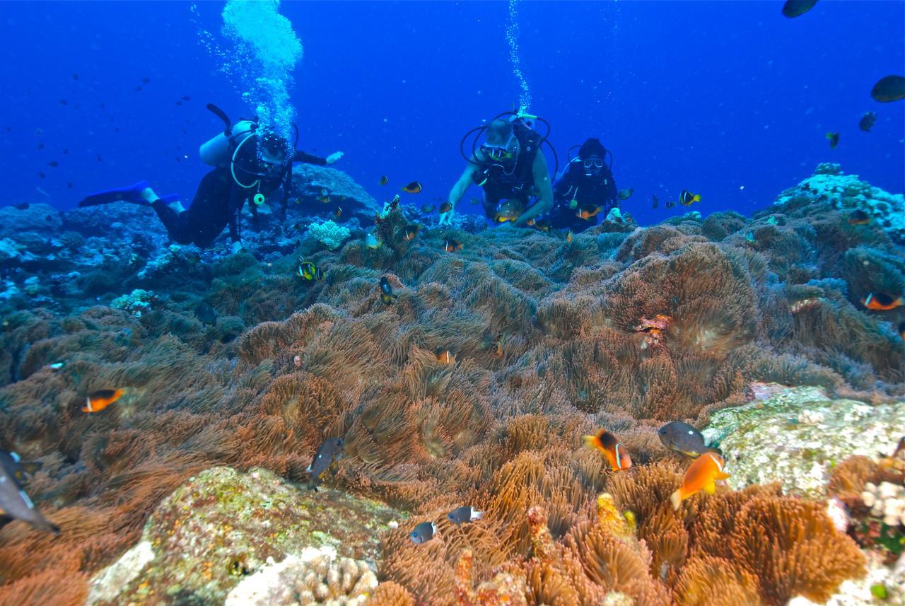 Reef Resort Vava'U Utungake Luaran gambar